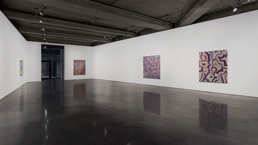 Bernard Frize_Installation.2
