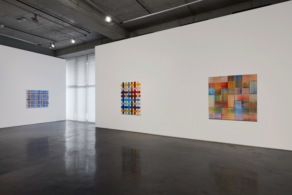 Bernard Frize_Installation.4png