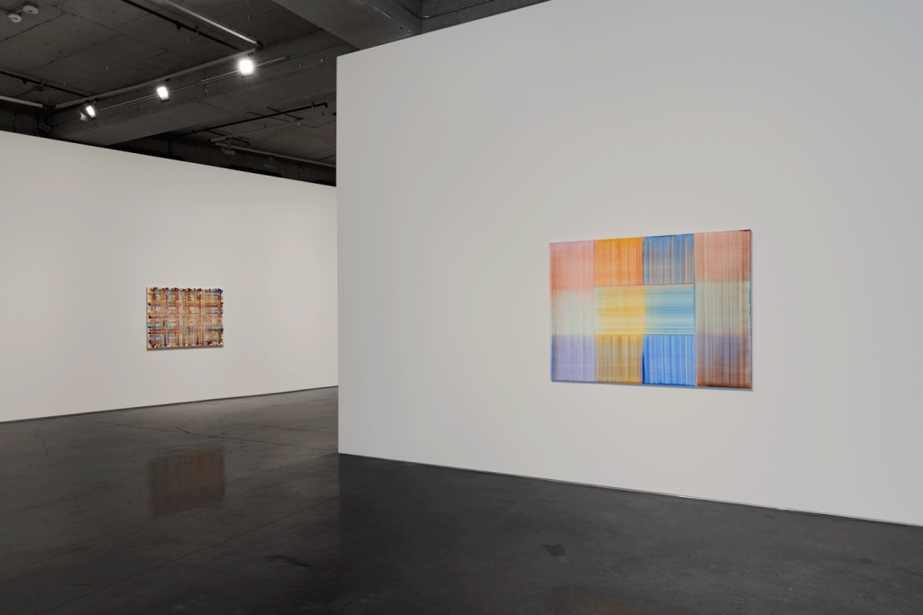 Bernard Frize_Installation1