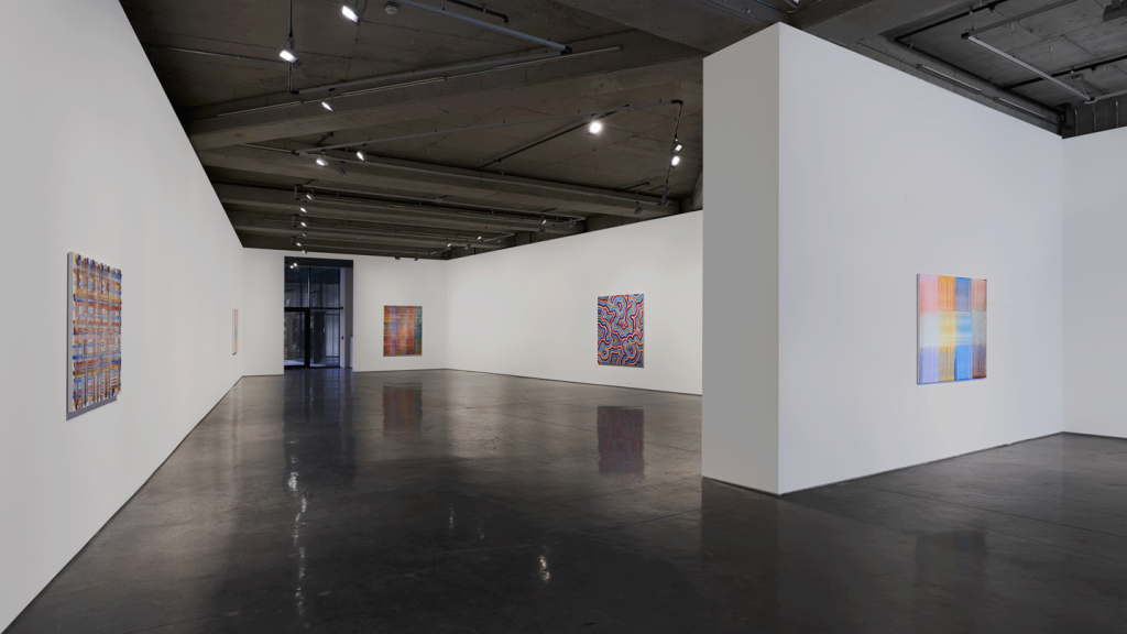 Bernard Frize_Installation5